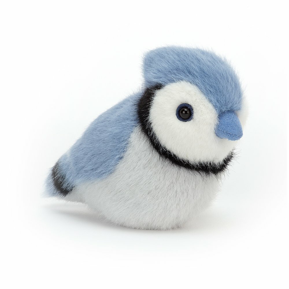 Bird Soft Toys