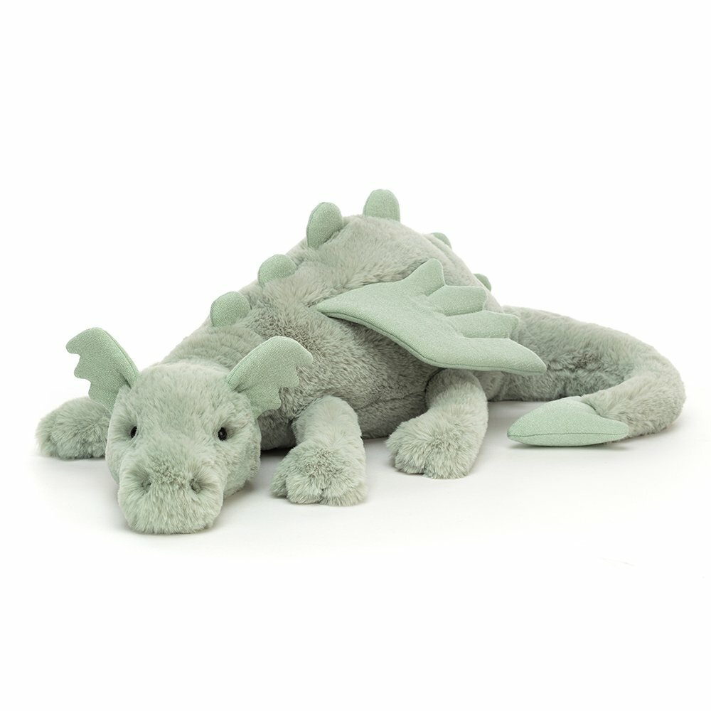 Dragons & Dinosaurs