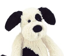 Bashful Puppy