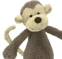 Bashful Monkey
