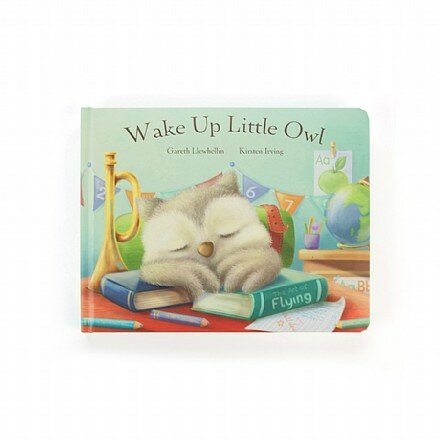 Wake Up Little Owl Book