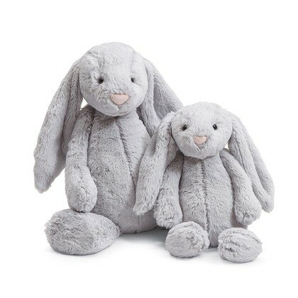 Bashful Grey Bunny