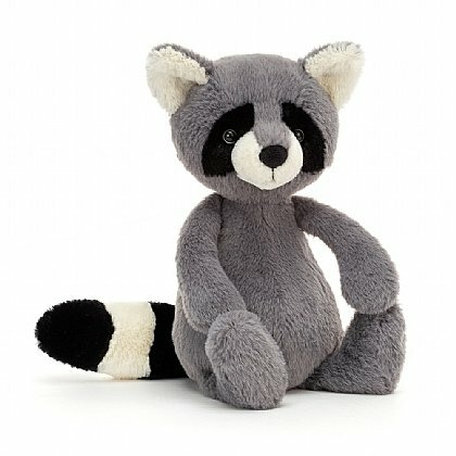 Bashful Raccoon