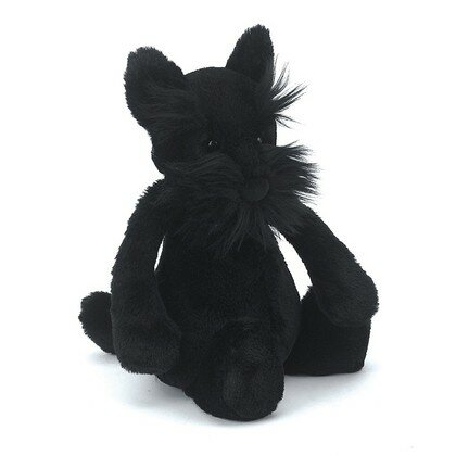 Bashful Scottie