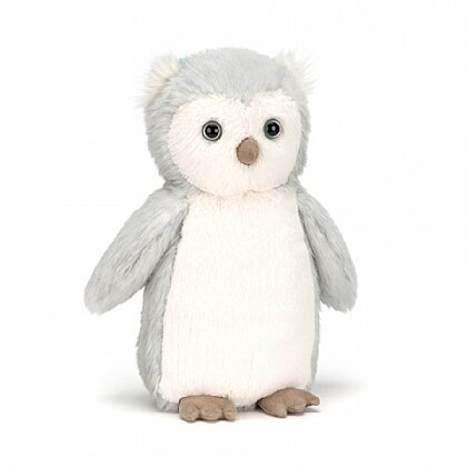 Bashful Owl Chick