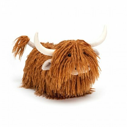 Charming Highland Cow