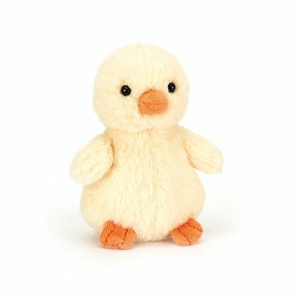 Fluffy Yellow Chick