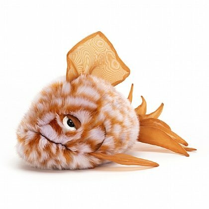 Grumpy Fish Orange