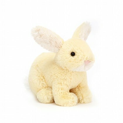 Minilop Lemon Bunny