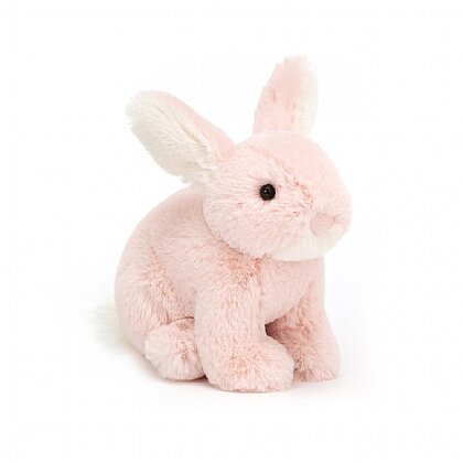 Minilop Rose Bunny