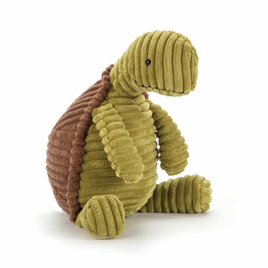 Cordy Roy Tortoise