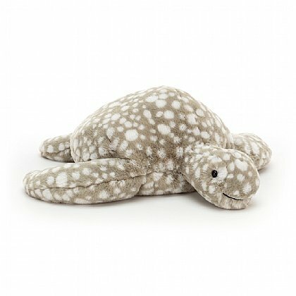 Shelby Turtle