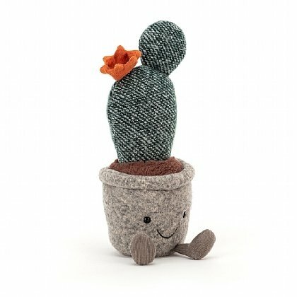 Silly Succulent Prickly Pear Cactus