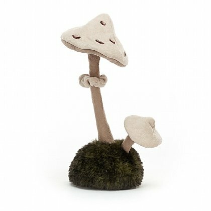 Wild Nature Parasol Mushroom
