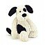 Bashful puppy bas3bcp