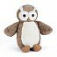 Bashful barn owl bas3bow