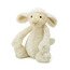 Bashful lamb bas3l