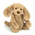 Bashful toffee puppy bas3tpus