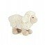 Bouncy bop lamb bop6l