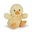 Poppet chick popl6ch