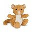 Poppet dormouse popl6dm