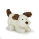 Playful pup buster pp6bus