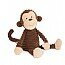 Cordy roy monkey baby sr4mk