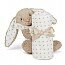 Starry bunny soother